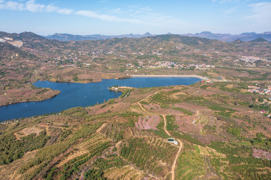 航拍沂蒙山区漫山遍野的果园