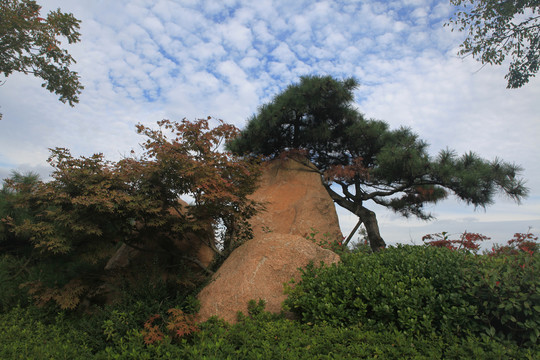 日照天台山风景区风光