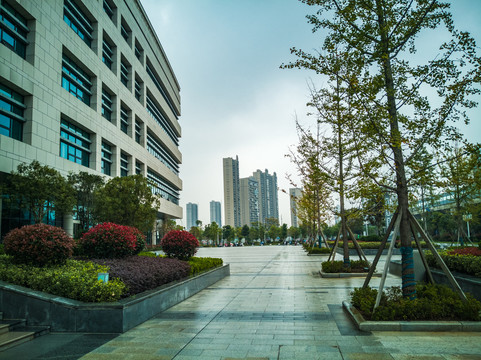 荆州市街道风景