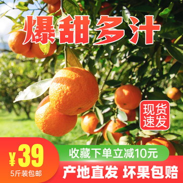 生鮮水果橘子直通車(chē)主圖