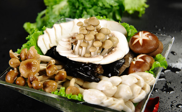 菌類拼盤