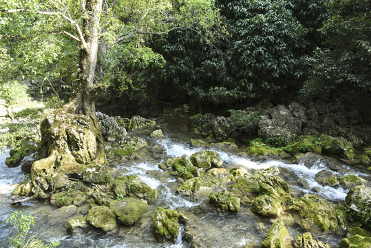 山涧小溪