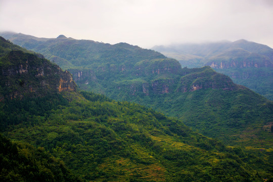 高山