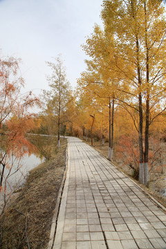 秋天的小河边