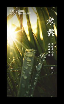 二十四節(jié)氣寒露
