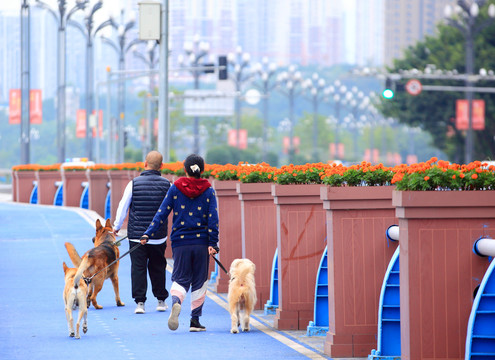 重庆江北区北滨路健身步道