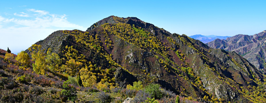 高峰