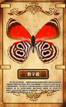 數(shù)字蝶