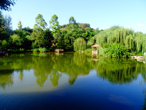自然風(fēng)景畫(huà)