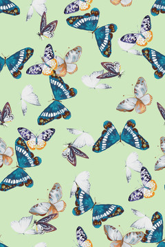 动物蝴蝶印花图案