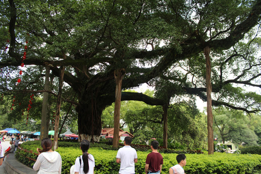 桂林靖江王府风景