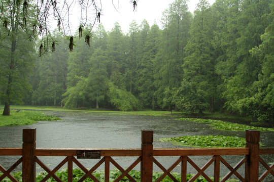 景区下雨