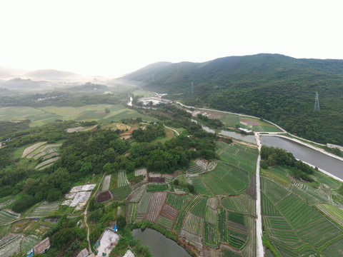 青山绿水就是金山银山