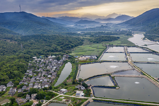 青山绿水就是金山银山