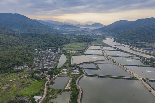 青山绿水就是金山银山