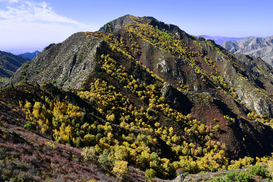 高峰