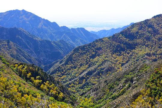 山景