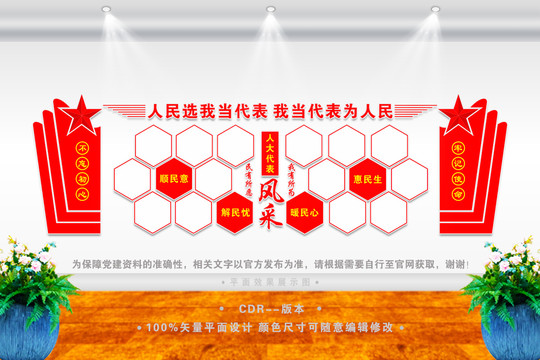 人大代表風采