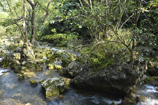 山涧溪流