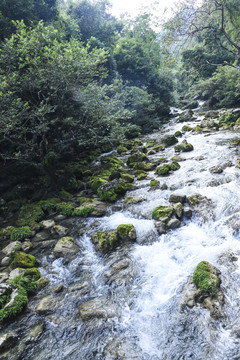 高原湿地