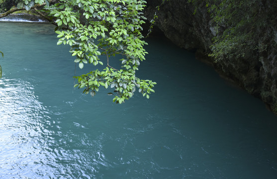 小七孔风景区碧水