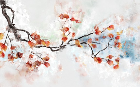 紅葉