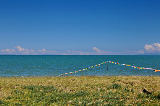 青海湖