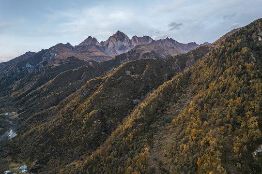 川西高原秋季高山森林自然风光