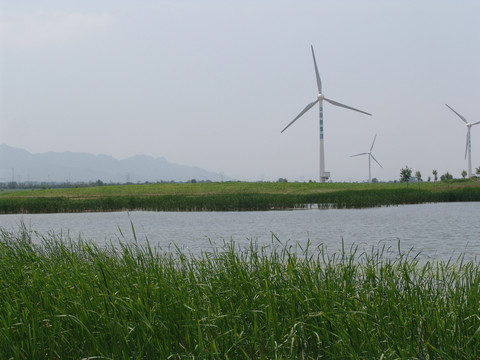 水库湿地