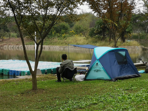 荷花嬉鱼度假村