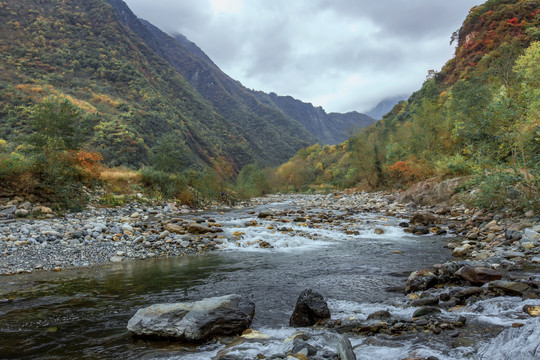 自然风光山水秋色秋景溪水溪涧