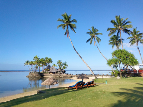 海滨度假休闲区椰子树三亚风光