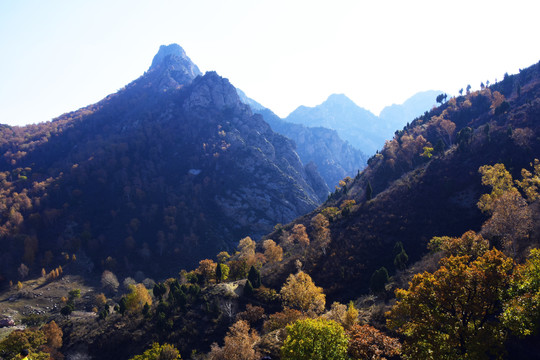 高山风景