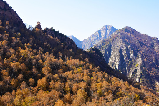 山景