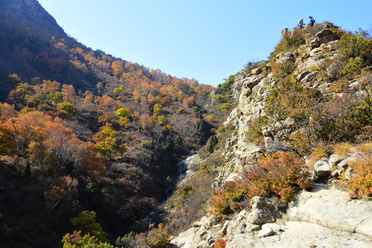 高山景色