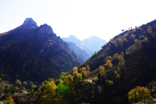 大山里的风景