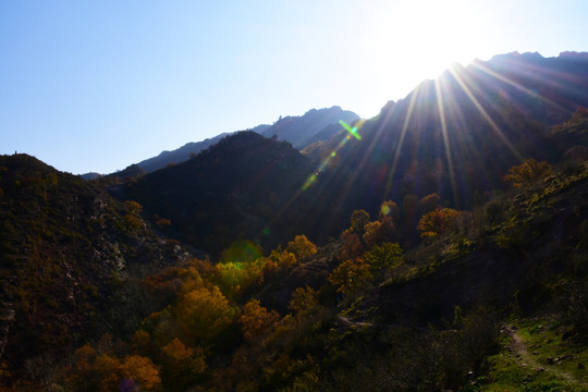 山景