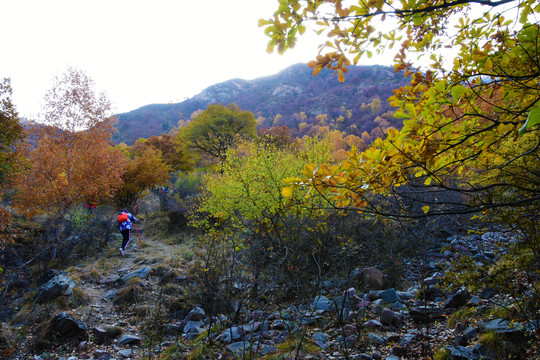 登山