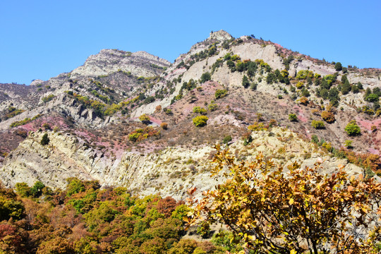 高峰景色