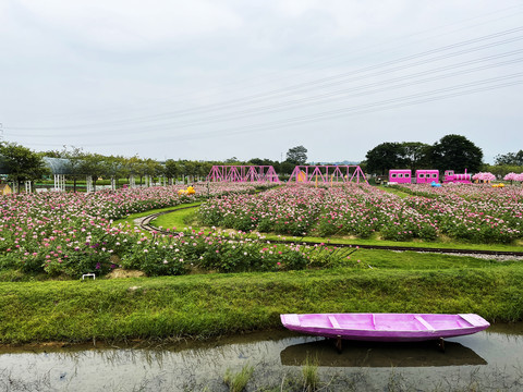 花海生态园