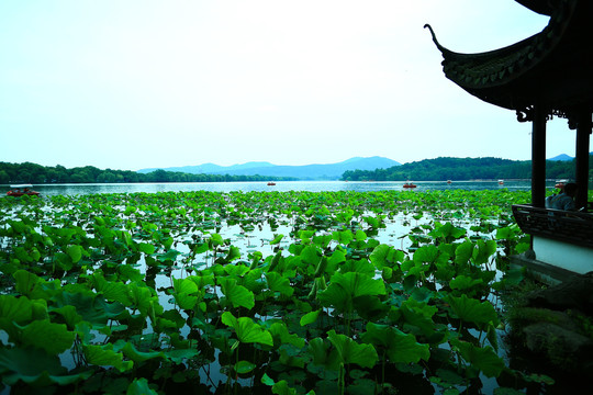 杭州西湖