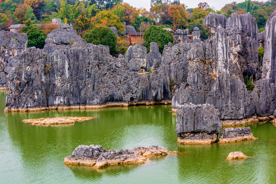 中国云南昆明石林风景区