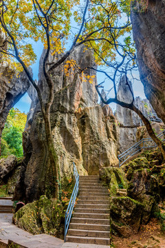 中国云南昆明石林风景区