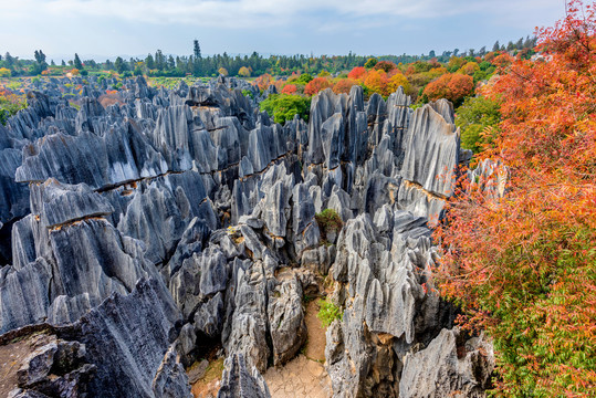 中国云南昆明石林风景区