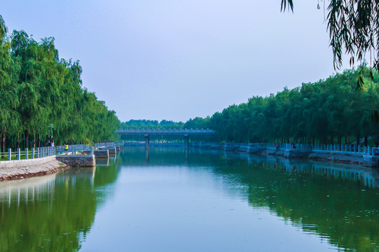 河北岳城水库