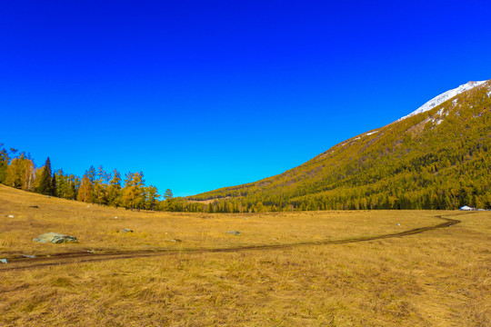 喀纳斯美景