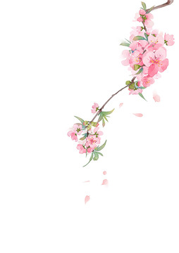 古風(fēng)水彩桃花