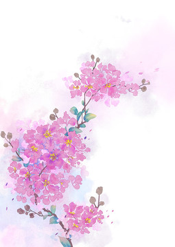 古風(fēng)水彩紫薇花