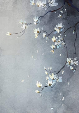 水墨古風玉蘭花插畫