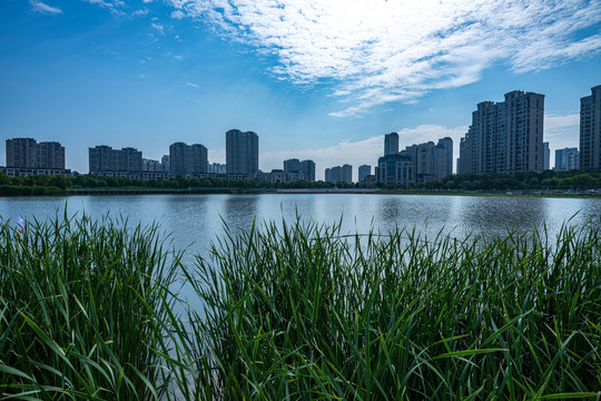 上海嘉定南翔留云湖湿地公园